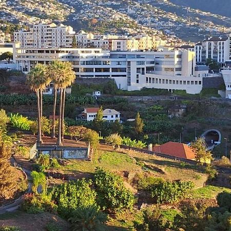 Magnolia Apartment Luxury Apt Great Views Funchal  Eksteriør billede